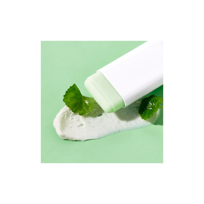 WellDerma Teatree Soothing Herb Tox Cica Sun Stick - 19 g